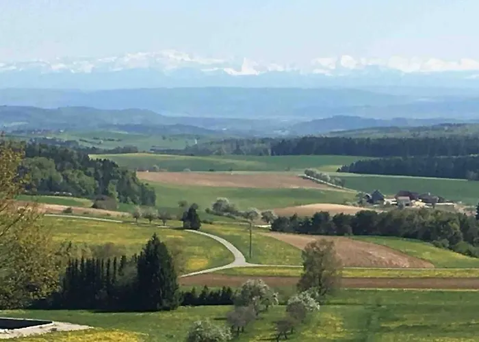 Tanja Apartment Engen